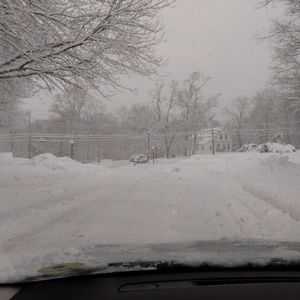 Meet your Posher, Patricia